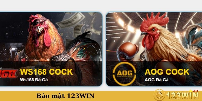 Bảo mật tuyệt đối tại nền tảng cá cược 123WIN