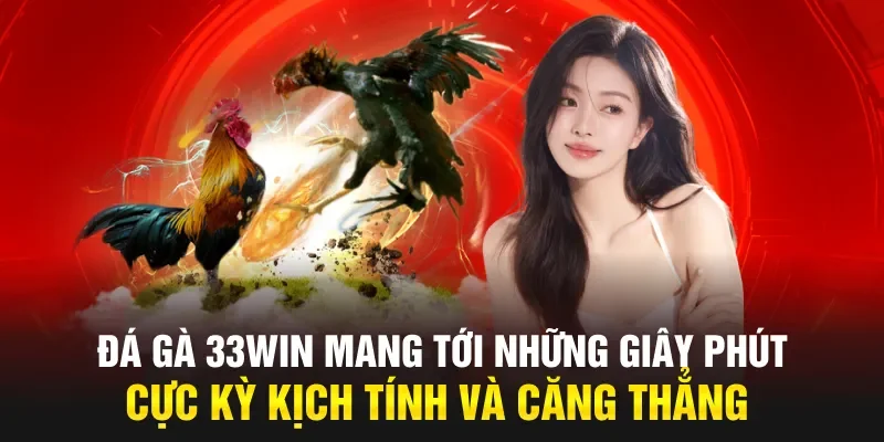 Đá gà 33WIN mang tới những giây phút cực kỳ kịch tính và căng thẳng