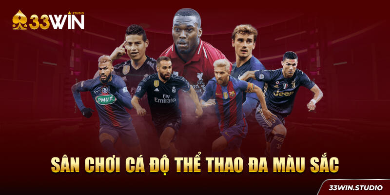 Sân chơi cá độ thể thao đa màu sắc