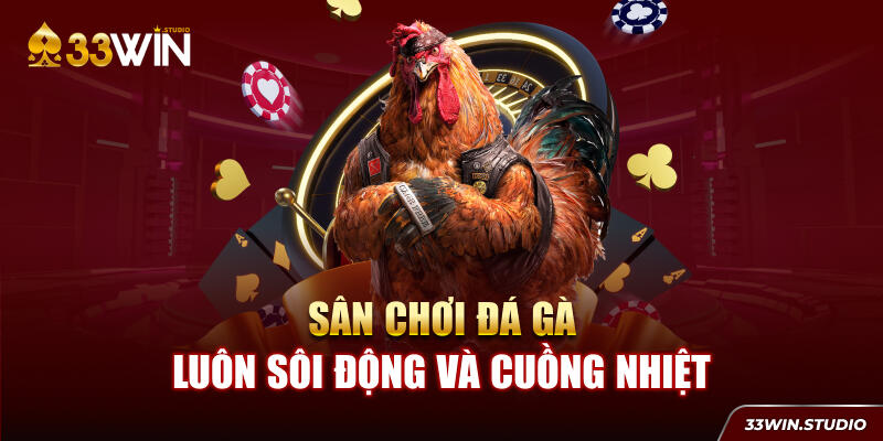 Sân chơi đá gà luôn sôi động và cuồng nhiệt