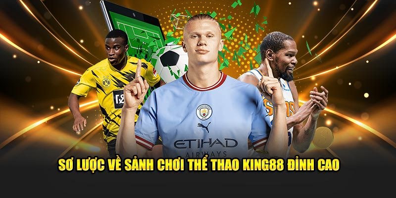 Sảnh thể thao cuồng nhiệt với hàng trăm giải đấu
