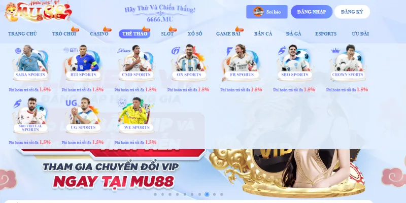 Tham gia cá cược thể thao hấp dẫn và sôi động cùng BLV chuyên nghiệp