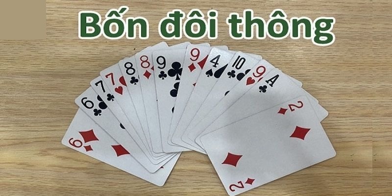 Tìm hiểu: Bốn đôi thông