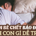 Mơ thấy bạn bè chết đánh con gì? Giải mã giấc mơ chính xác nhất