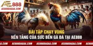 Bài Tập Chạy Vòng – Nền Tảng Của Sức Bền Gà Đá Tại AE888