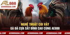 Nghệ Thuật Coi Vảy Gà Đá Cựa Sắt Đỉnh Cao Cùng AE888