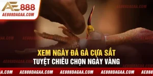 Xem Ngày Đá Gà Cựa Sắt - Tuyệt Chiêu Chọn Ngày Vàng