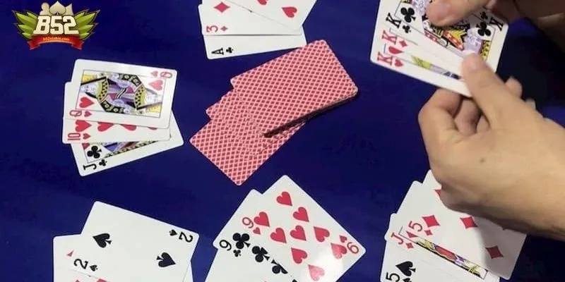 Quan sát cách xào bài Quan sát cách xào bài