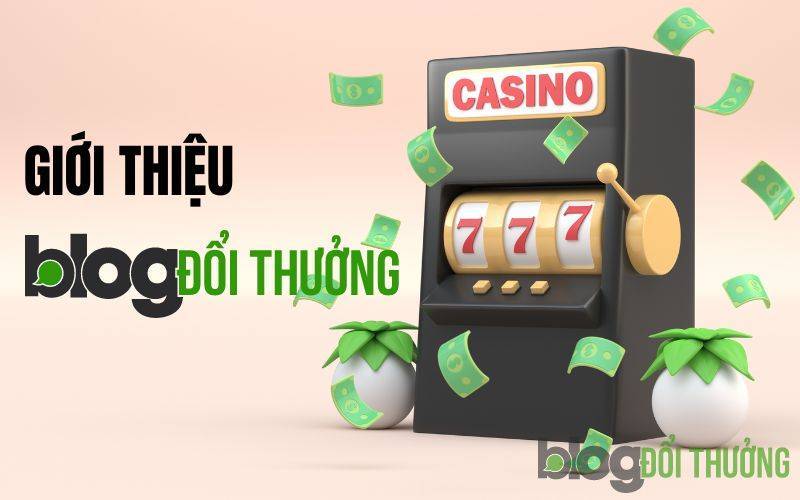 Đôi nét giới thiệu chung về Blogdoithuong.co
