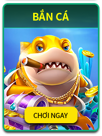 bcacwin