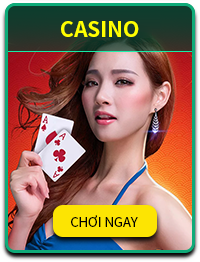 csncwin