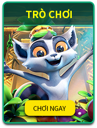 tccwin