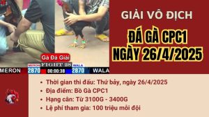 giai-cpc1-26-4-2025
