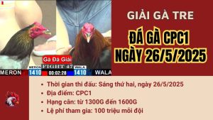 giai-cpc1-26-5-2025