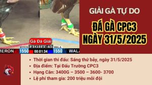 giai-cpc3-31-5-2025