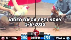 da-ga-cpc1-5-6-25