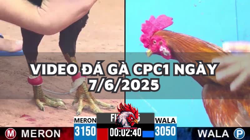da-ga-cpc1-7-6-25