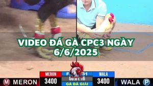 da-ga-cpc3-6-6-2025