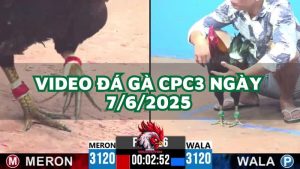 da-ga-cpc3-7-6-2025