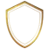 888B 24 icon protect