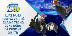 Luật Đá Gà Fb68 và vai trò của nó trong cộng đồng cá cược và giải trí