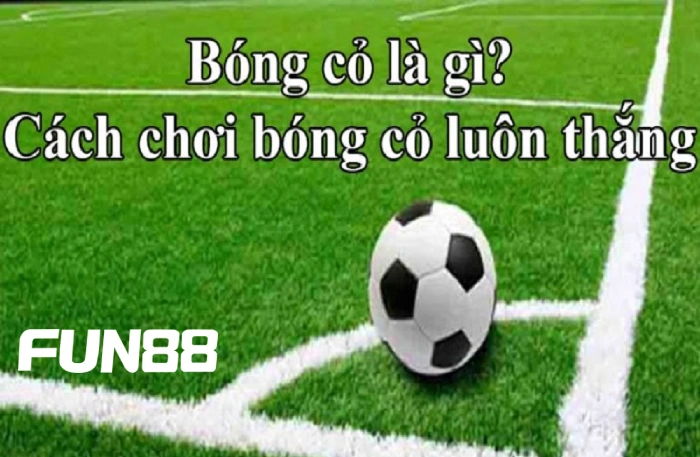 Bóng cỏ FUN88 - Mẹo chơi cá cược trăm trận trăm thắng 1 Giới thiệu chi tiết về bóng cỏ