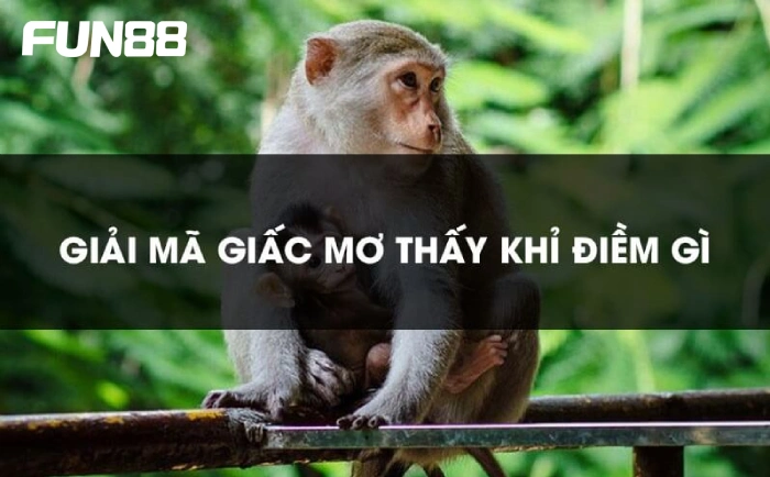 Ý nghĩa của giấc mơ thấy khỉ