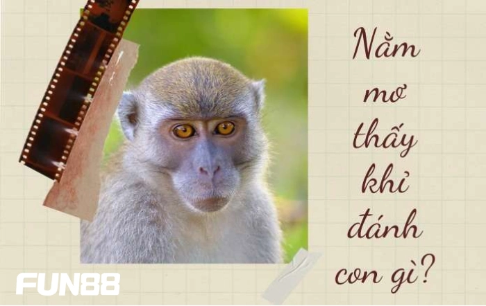 Mơ thấy khỉ đánh số gì?