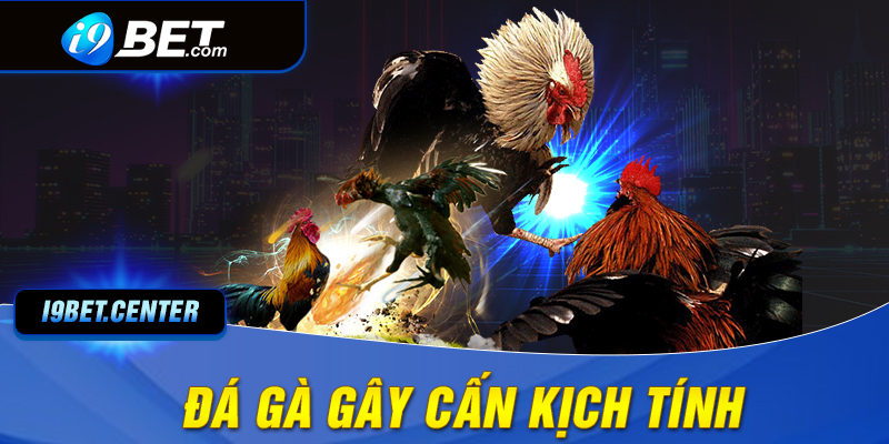 Đá gà I9BET gây hung bạo cuốn hút