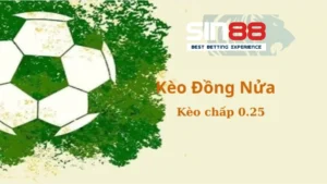  Kèo chấp 0.25 là gì? Là một bet thủ bạn nên biết
