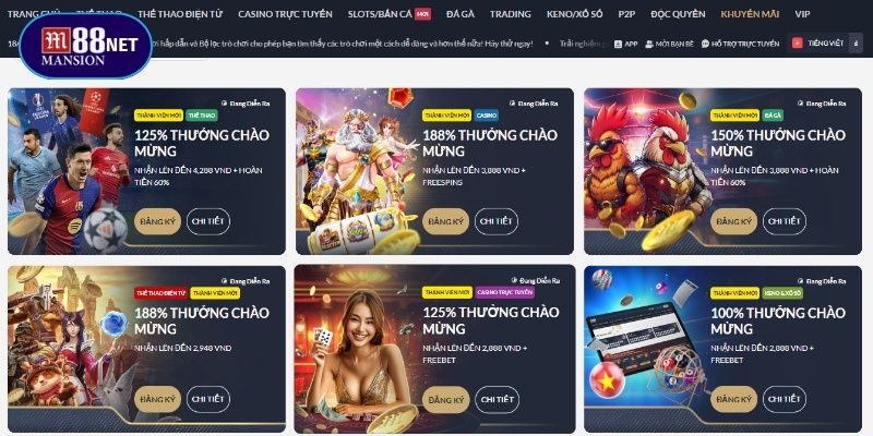 Tặng thưởng hấp dẫn dành cho thành viên mới liên tục