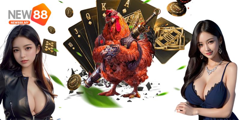 Đá gà trực tuyến – Những trận đấu đầy kịch tính
