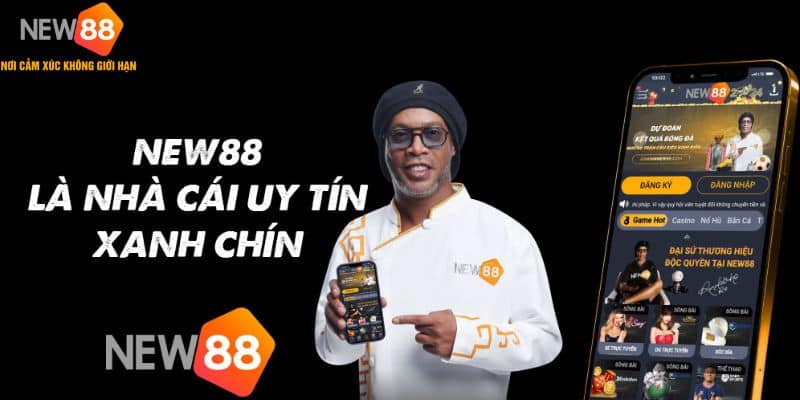 Quá trình phát triển đặc biệt của New88