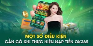 Điều kiện cần thiết khi nạp tiền vào ví điện tử OK365