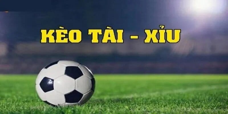 Tổng quan đôi nét về kèo cược tài xỉu 2.5