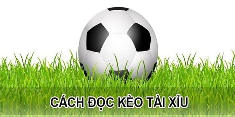 4 mẹo để chơi kèo cược 2.5 luôn thắng cho người mới