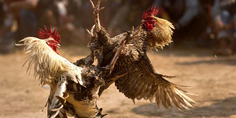 Lên chiến thuật dựa trên quy tắc tránh vi phạm