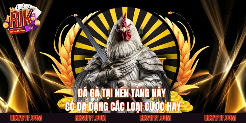 Đá gà tại nền tảng này có đa dạng các loại cược hay