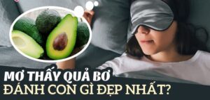 Mơ thấy quả bơ đánh con gì đẹp nhất?