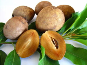 Mơ quả hồng xiêm chín