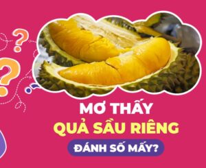 Mơ thấy trái sầu riêng đánh con gì?