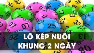 Khái quát về nuôi lô kép khung 2 ngày
