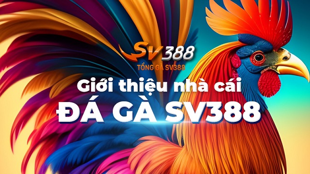 Dịch vụ chính của nhà cái SV388 là gì?