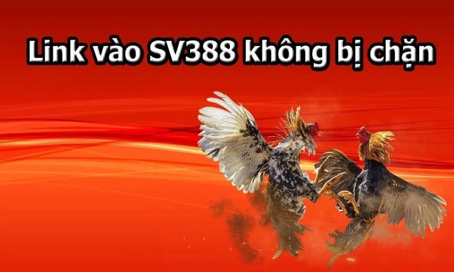 Khắc phục vấn đề truy cập SV388 bị chặn thế nào?