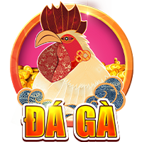 đá gà
