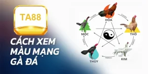Cách xem màu mạng gà đá TA88