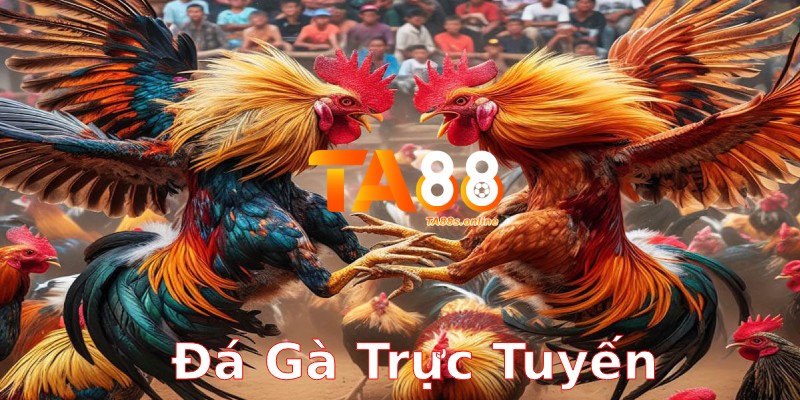 TA88 – Link Truy Cập TA88 Chính Thức Nhận Thưởng 88k 13 Đá gà trực tuyến