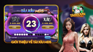 Giới thiệu về Tài xỉu md5