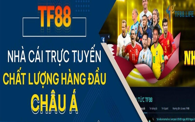 keo-bong-da-tf88