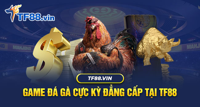 Nhà cái TF88 có những trường đá gà đỉnh cao của thế giới